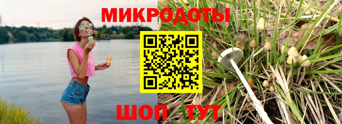 Алатырь  Псилоцибиновые грибы GOLDEN TEACHER  Вход с VPN  Галлюциногенные грибы Cubensis 